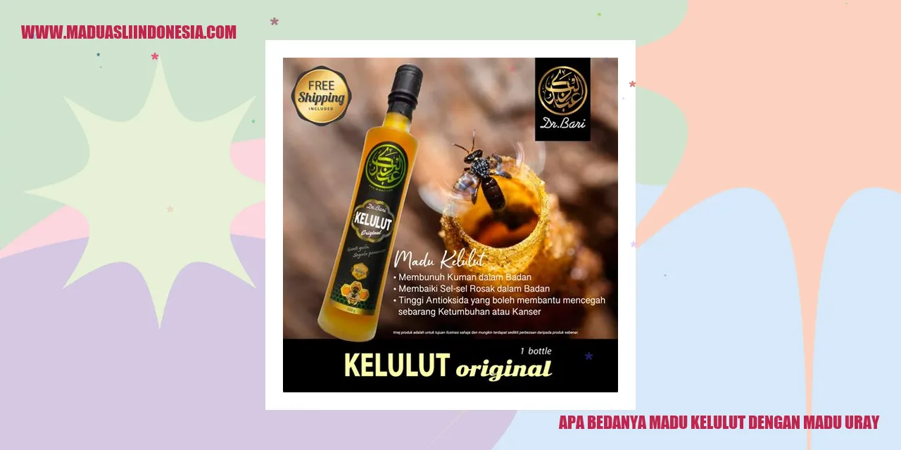 madu kelulut
