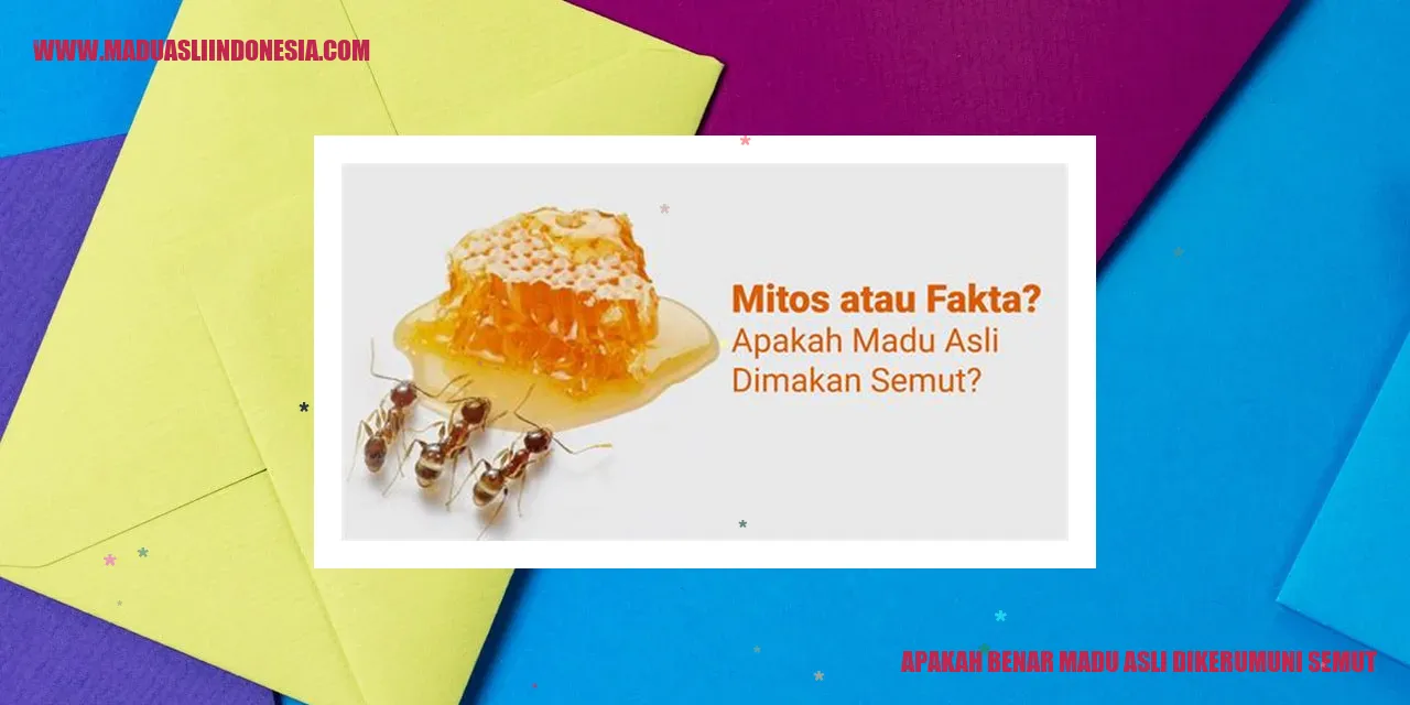 Madu Asli Dikerumuni Semut