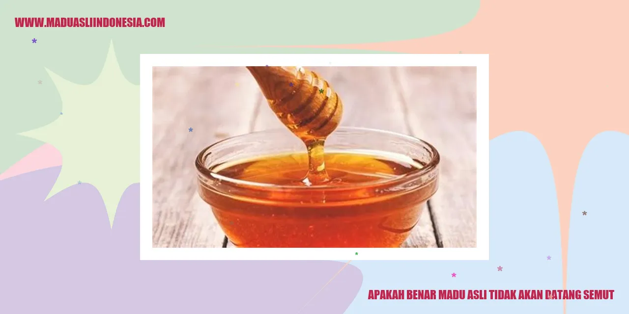 Gambar Madu Asli