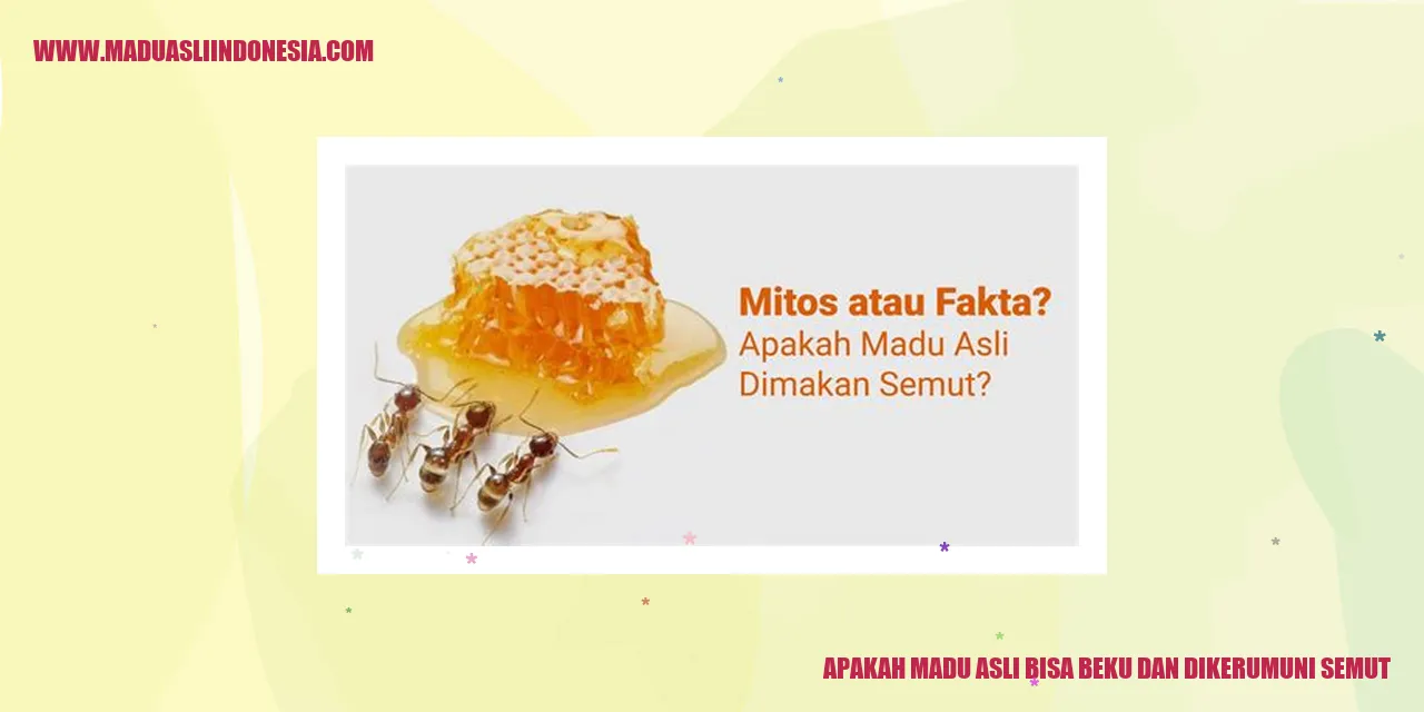 madu asli