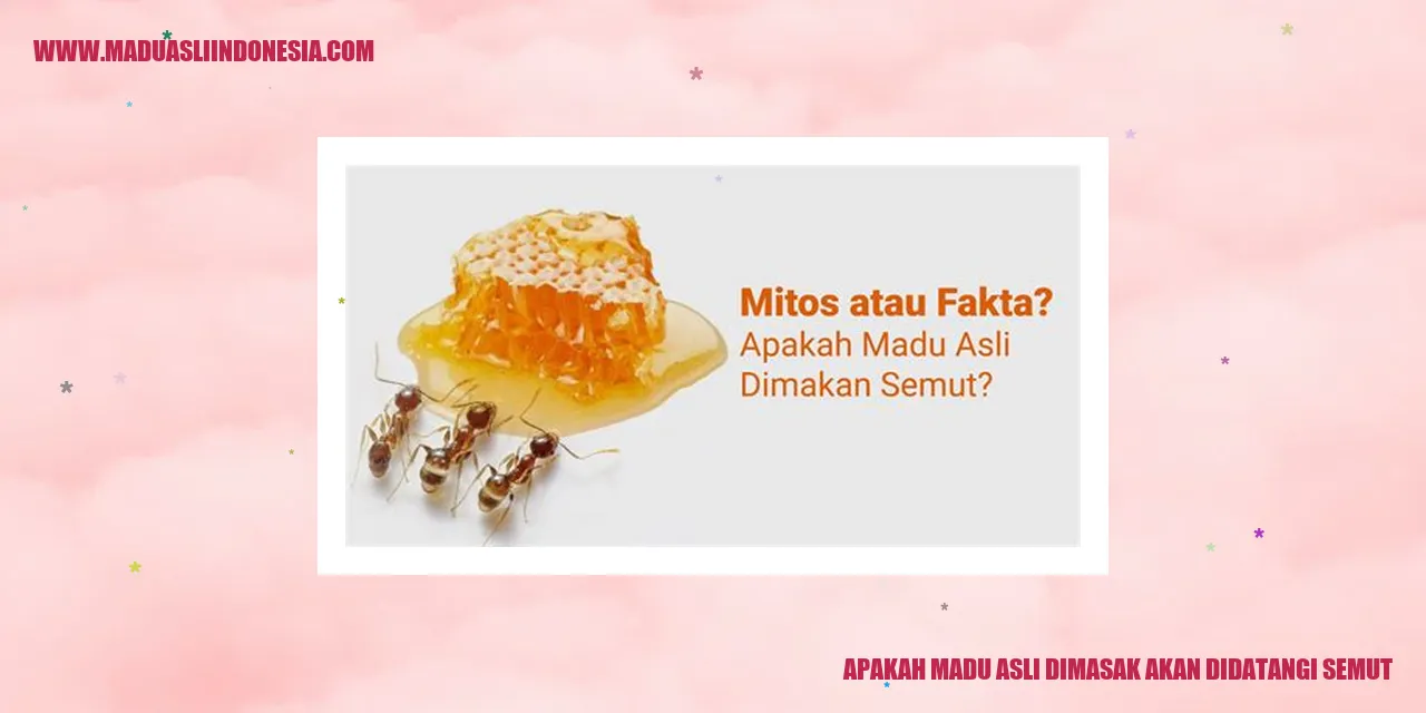 Apakah Madu Asli Dimasak Akan Didatangi Semut