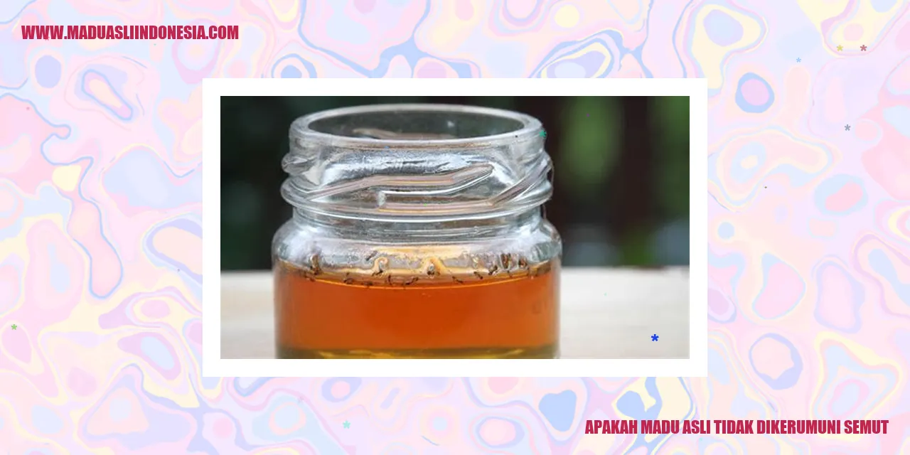 madu asli tidak dikerumuni semut