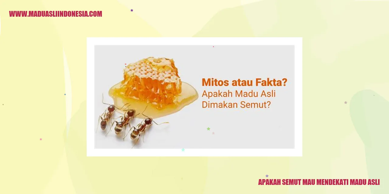 Semut mendekati madu asli