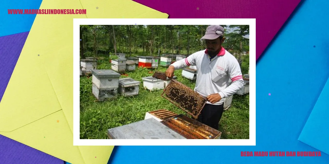 Madu Hutan vs Madu Budidaya