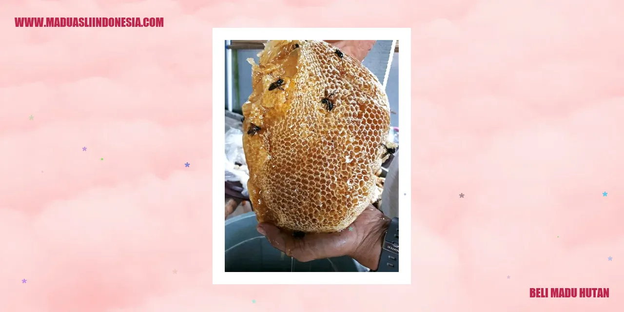 Beli Madu Hutan Asli