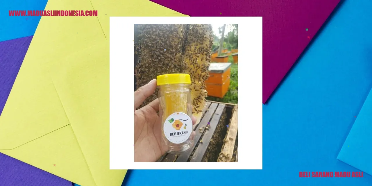 Sarang Madu Asli