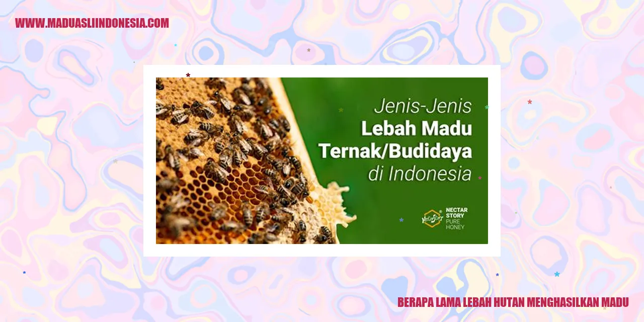 Lebah Hutan Menghasilkan Madu