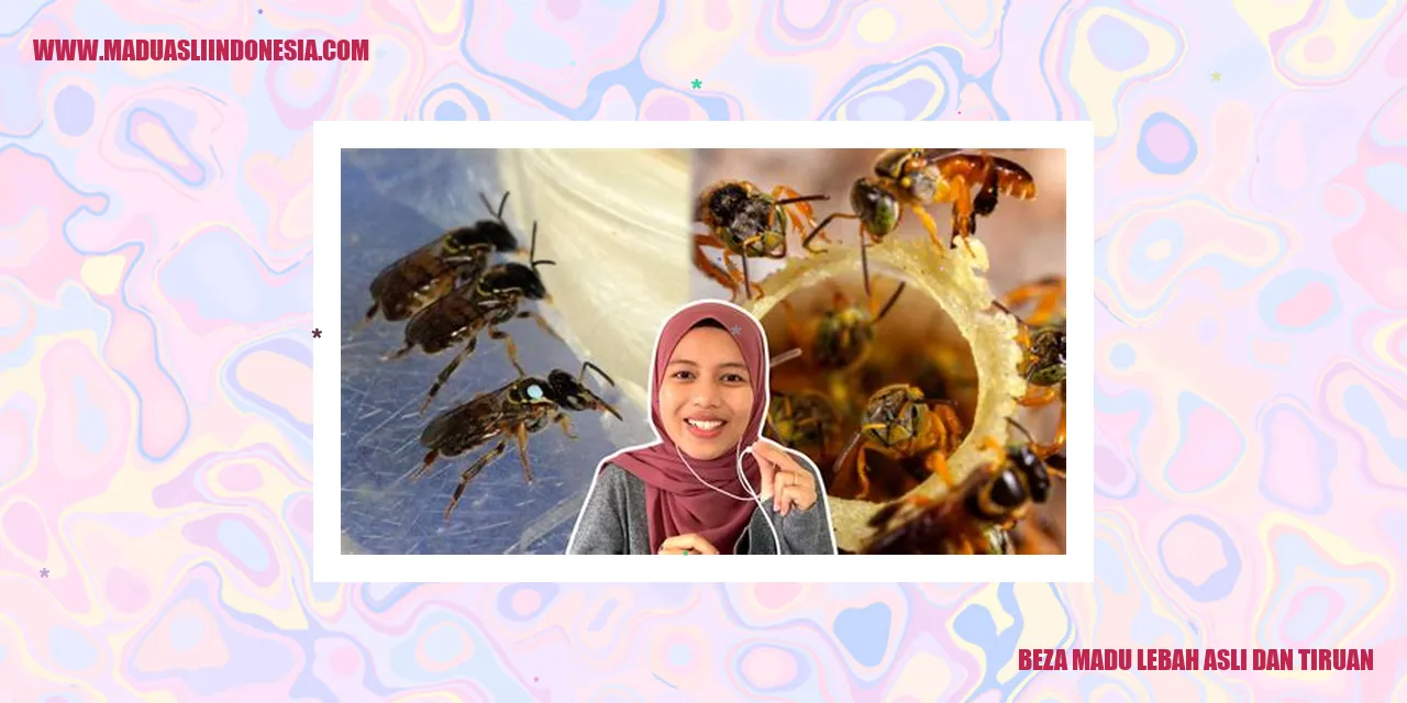 beza madu lebah asli dan tiruan