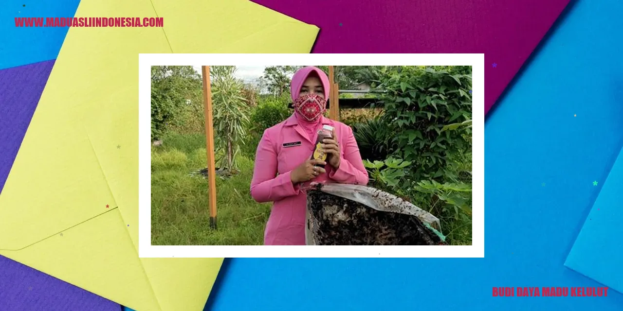 Madu Kelulut