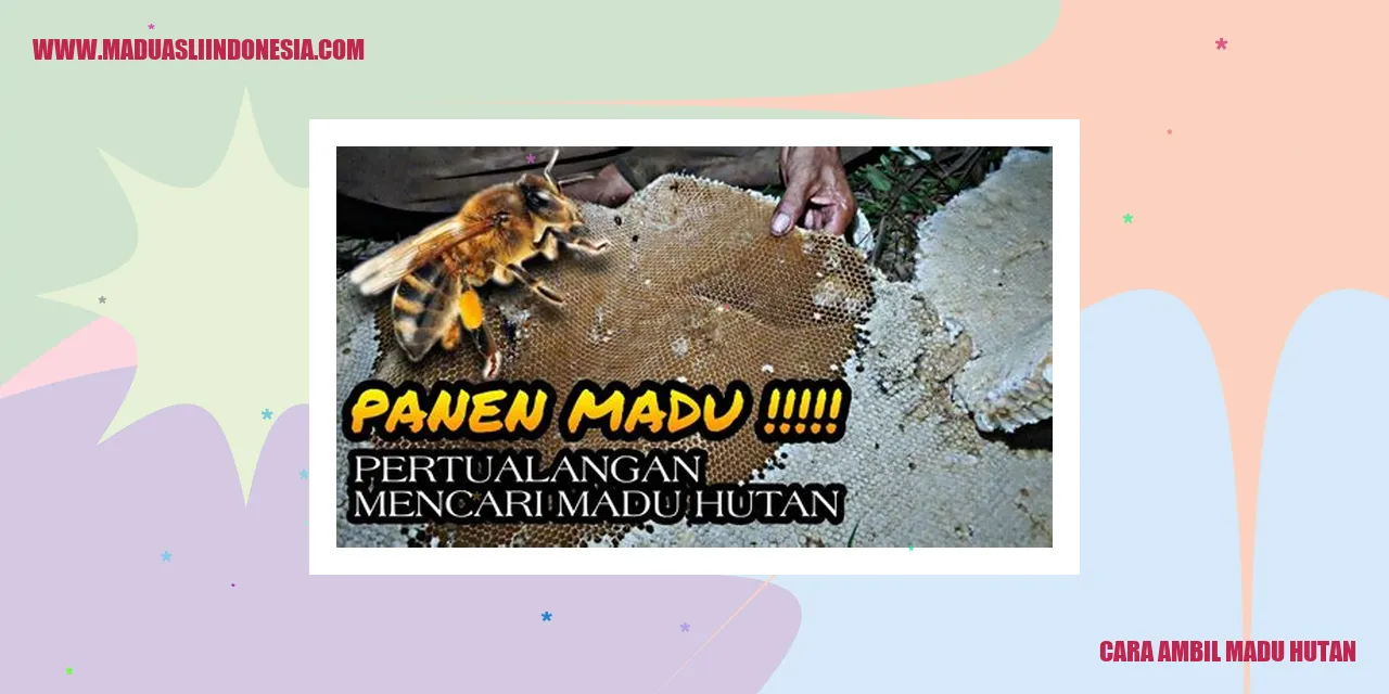 cara ambil madu hutan