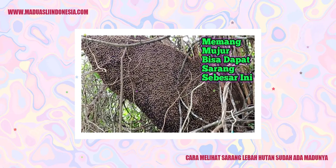Sarang Lebah Hutan