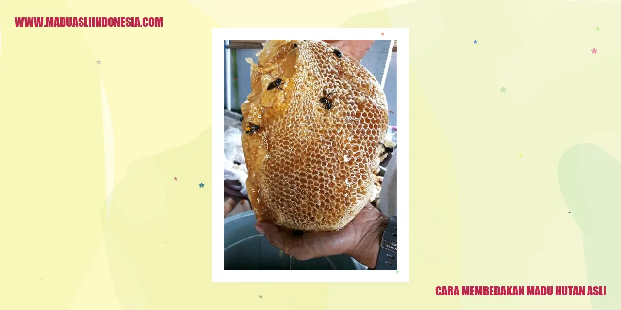 cara membedakan madu hutan asli