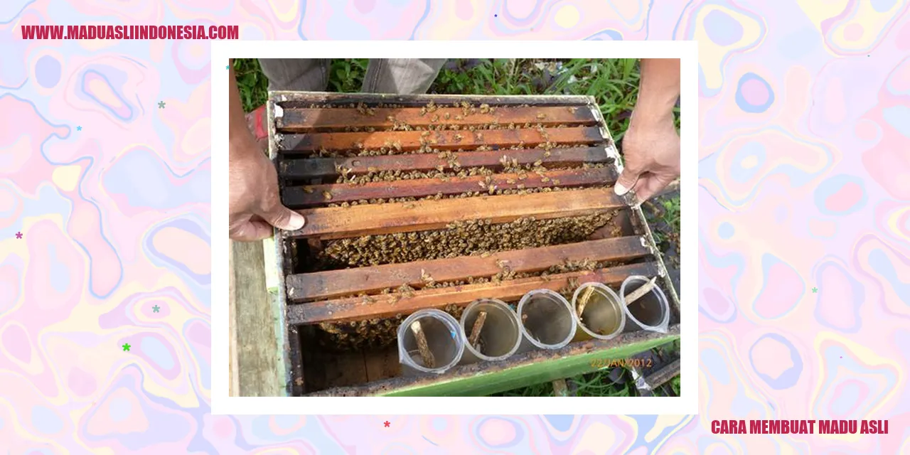 cara membuat madu asli