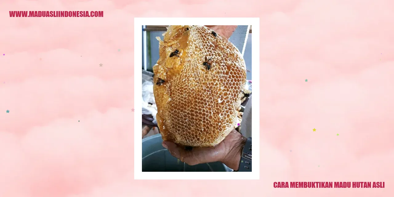 Cara Membuktikan Madu Hutan Asli