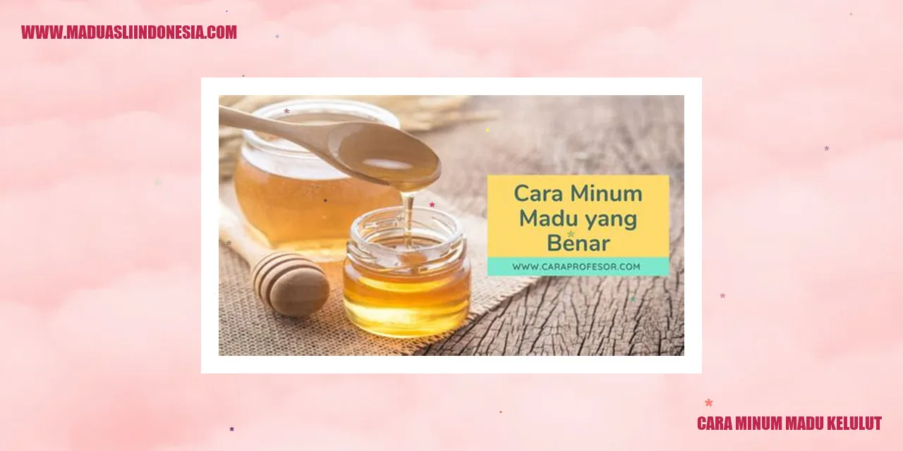 Cara Minum Madu Kelulut