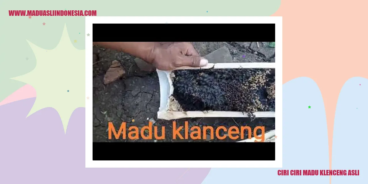 Madu Klanceng Asli