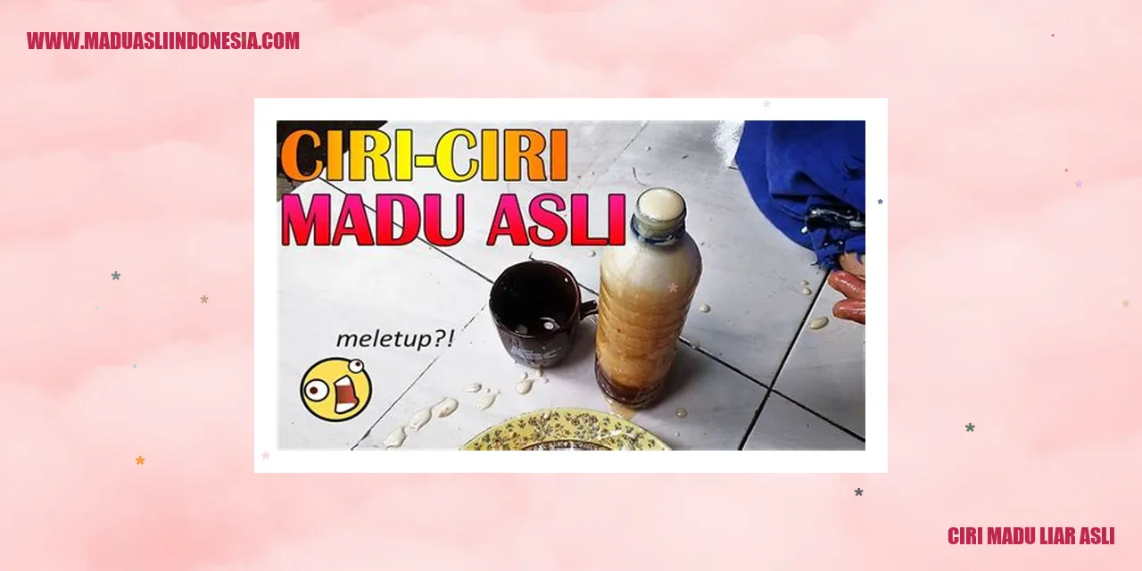 ciri madu liar asli