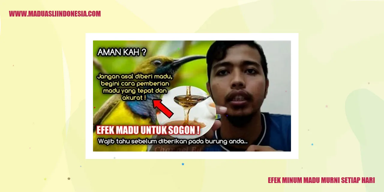 efek minum madu murni setiap hari