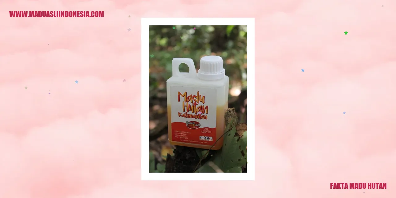 fakta madu hutan