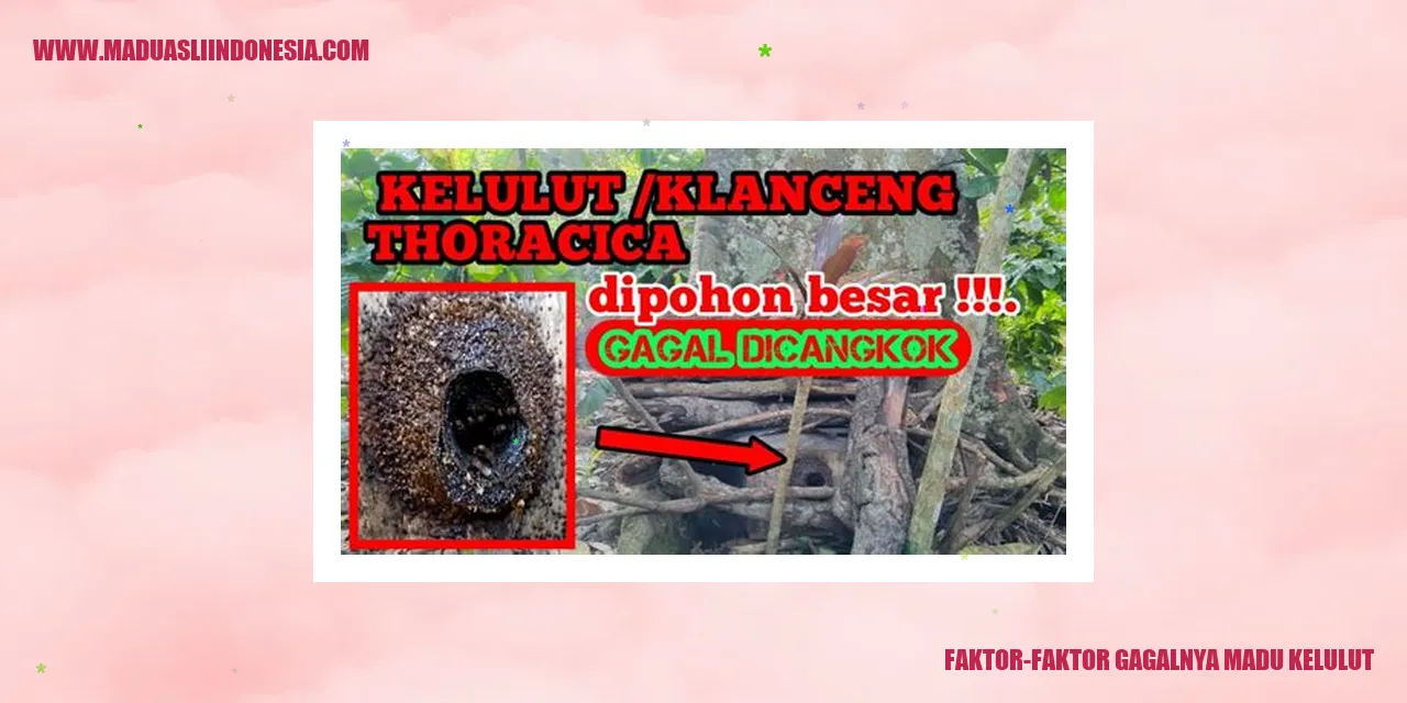 faktor-faktor gagalnya madu kelulut