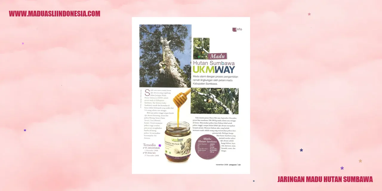 Jaringan Madu Hutan Sumbawa