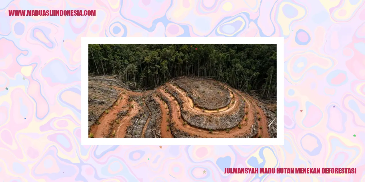 Julmansyah Madu Hutan Menekan Deforestasi
