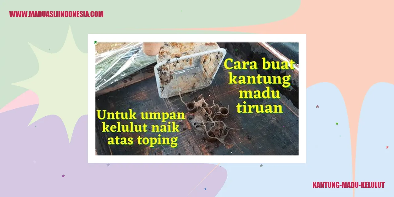 Madu Kelulut