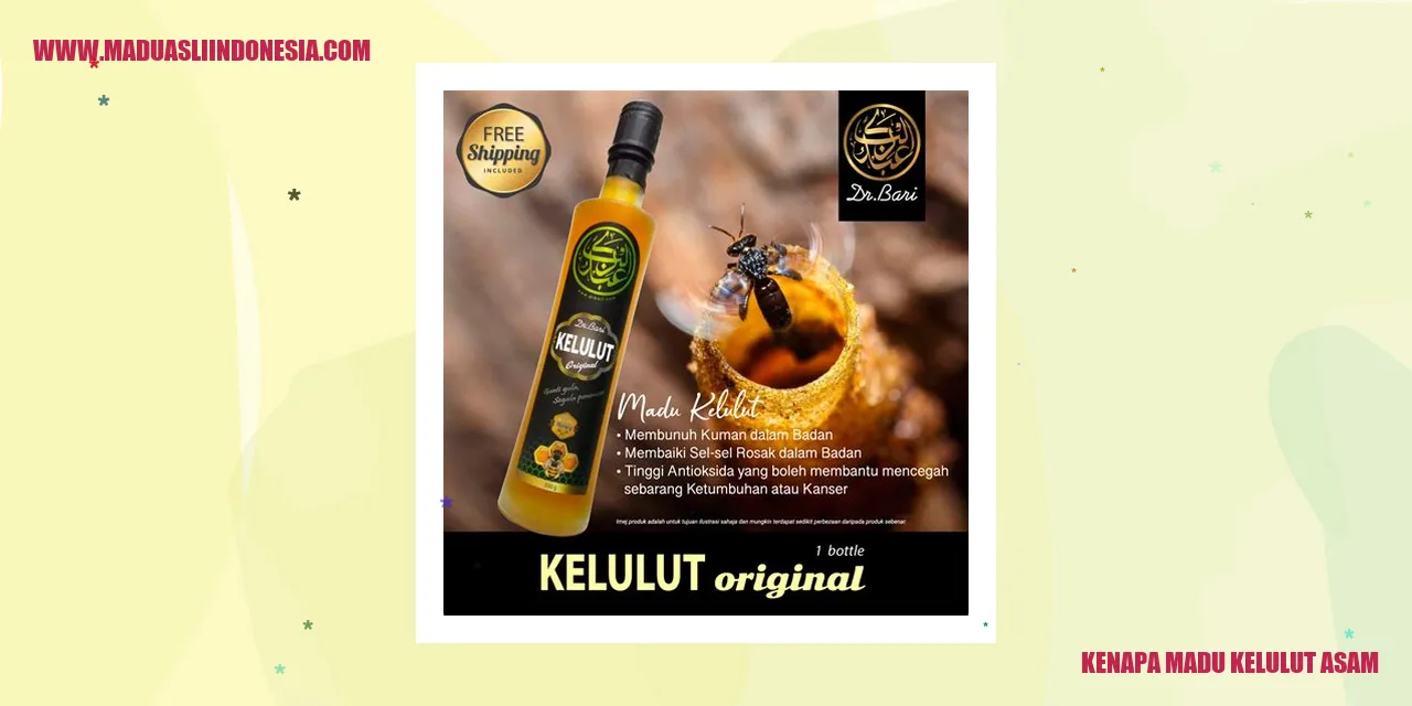 madu kelulut