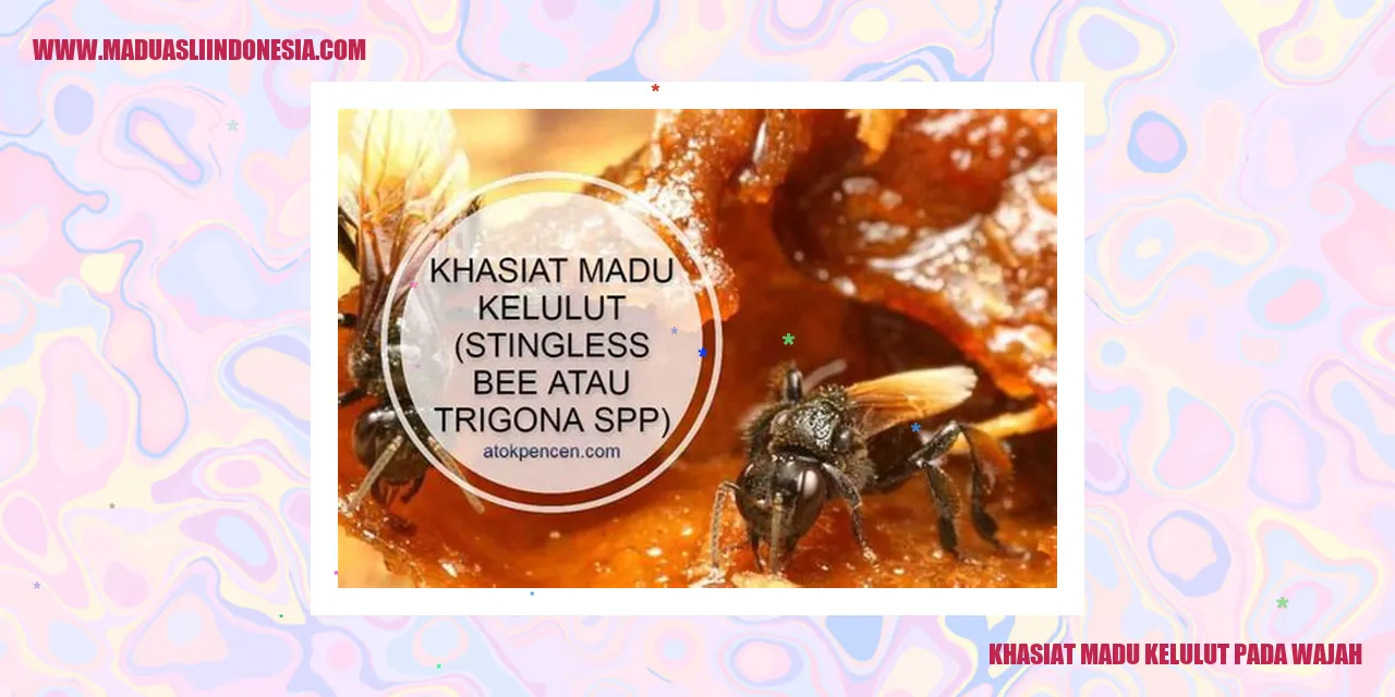 Madu Kelulut