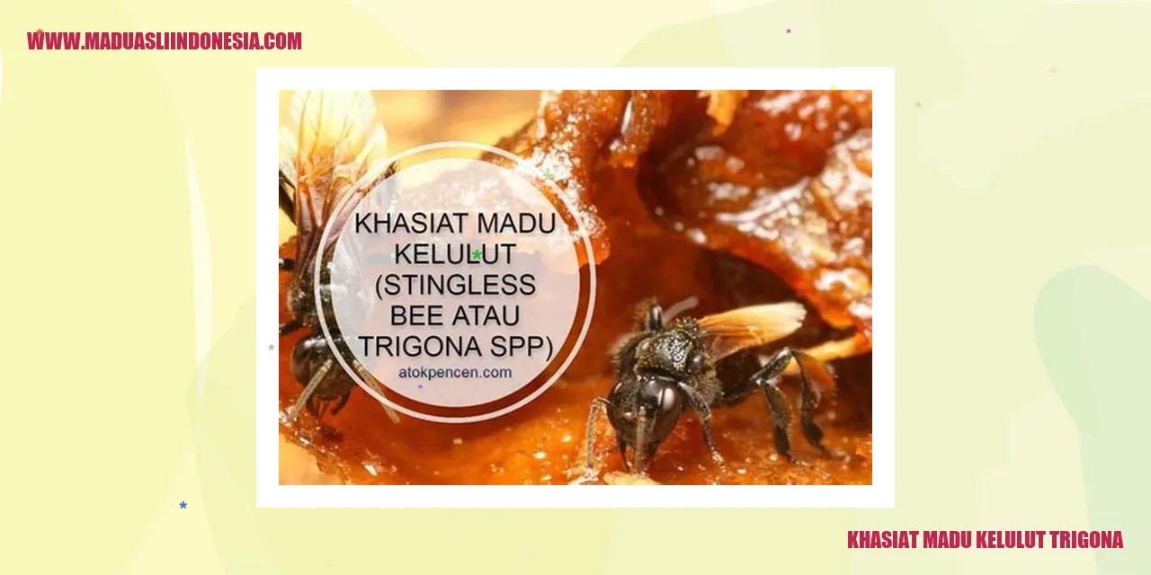 khasiat madu kelulut trigona