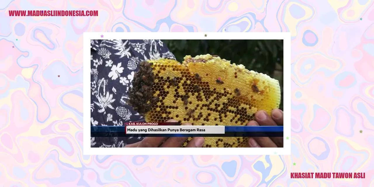khasiat madu tawon asli