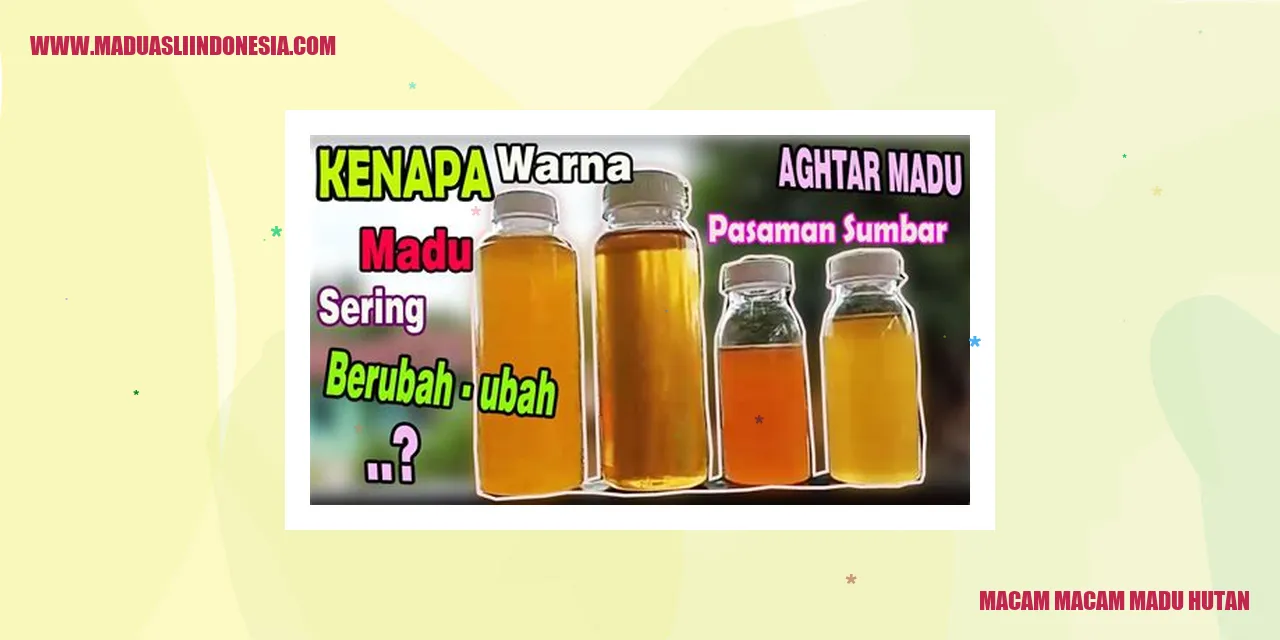 macam macam madu hutan