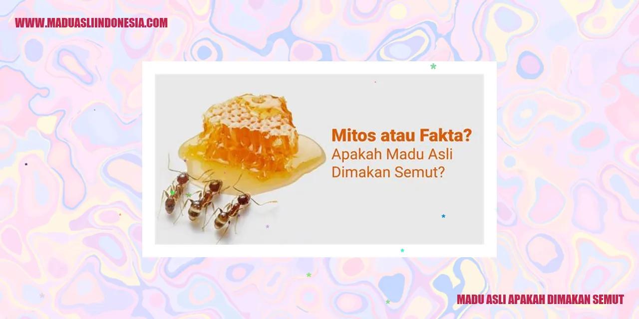 Madu Asli Apakah Dimakan Semut