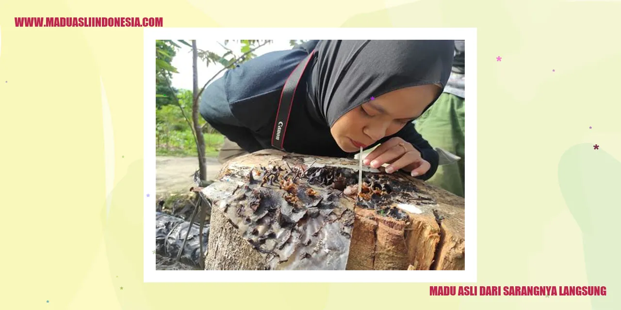 Madu Asli dari Sarangnya Langsung