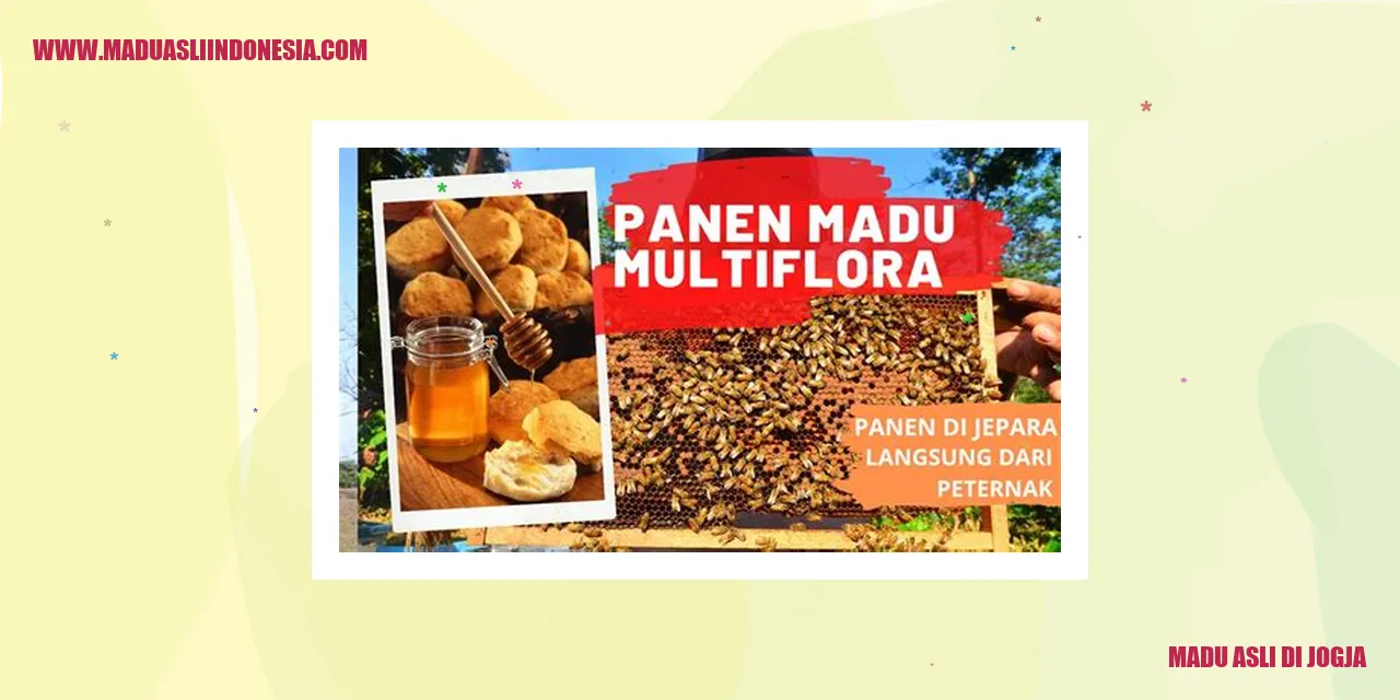 madu asli di jogja