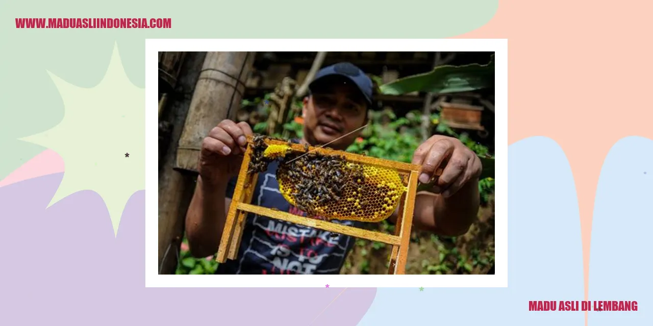 Madu Asli di Lembang