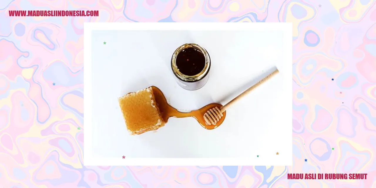 madu asli di rubung semut