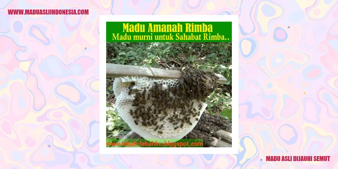 Gambar madu asli