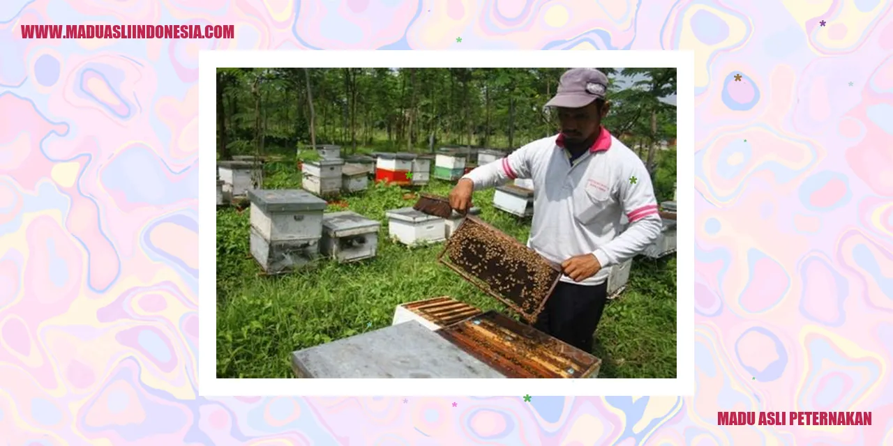 madu asli peternakan