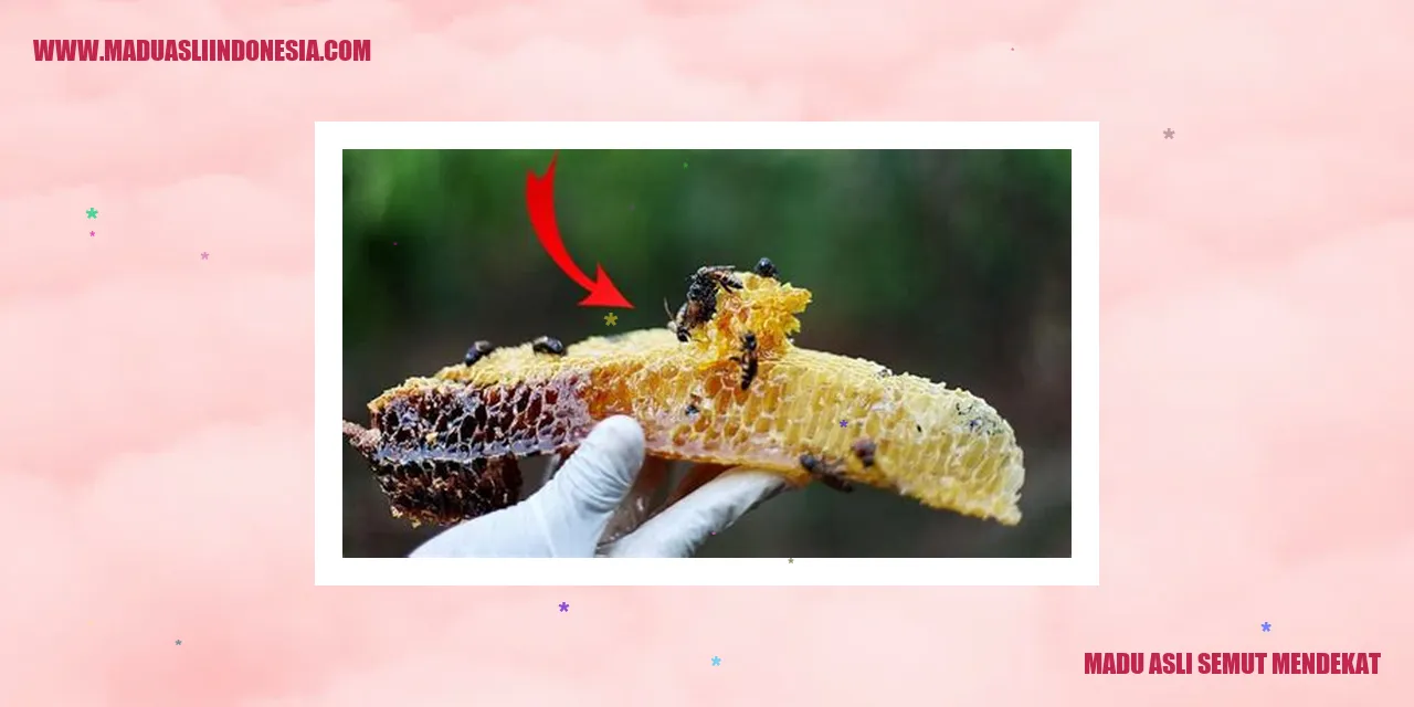 Meningkatkan sistem kekebalan tubuh