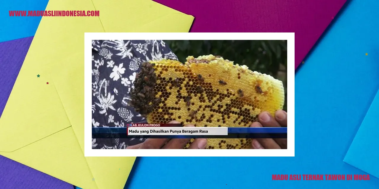 Gambar Madu Asli Ternak Tawon di Moga