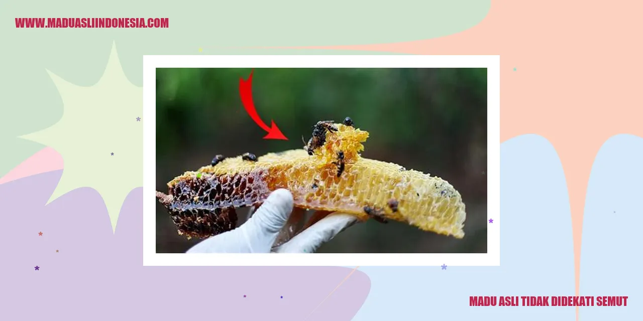 madu asli tidak didekati semut
