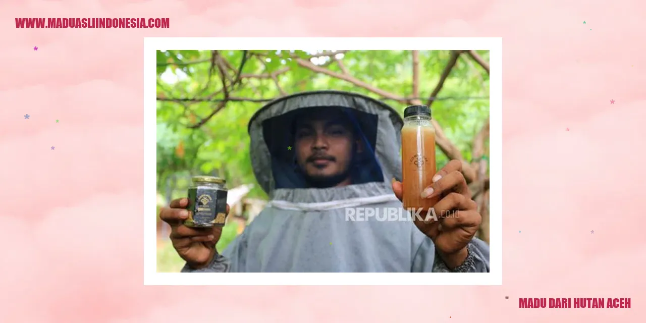 Madu dari Hutan Aceh