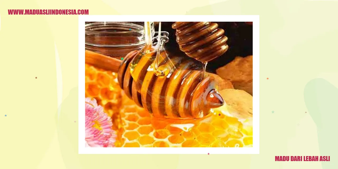 Madu dari Lebah Asli