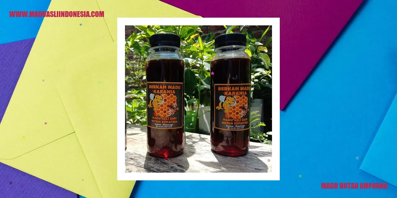 madu hutan amfoang di hutan Amfoang
