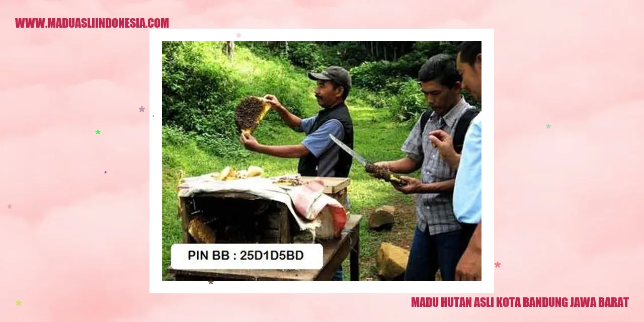 madu hutan asli kota bandung