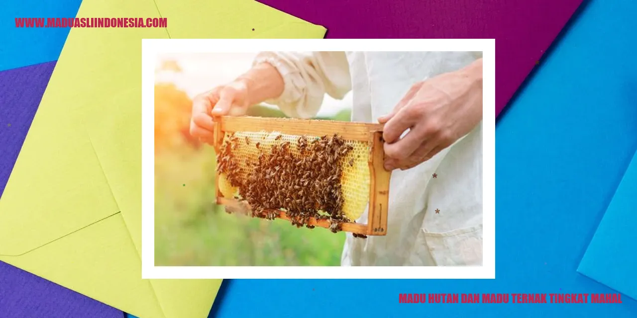 Madu Hutan dan Madu Ternak Tingkat Mahal