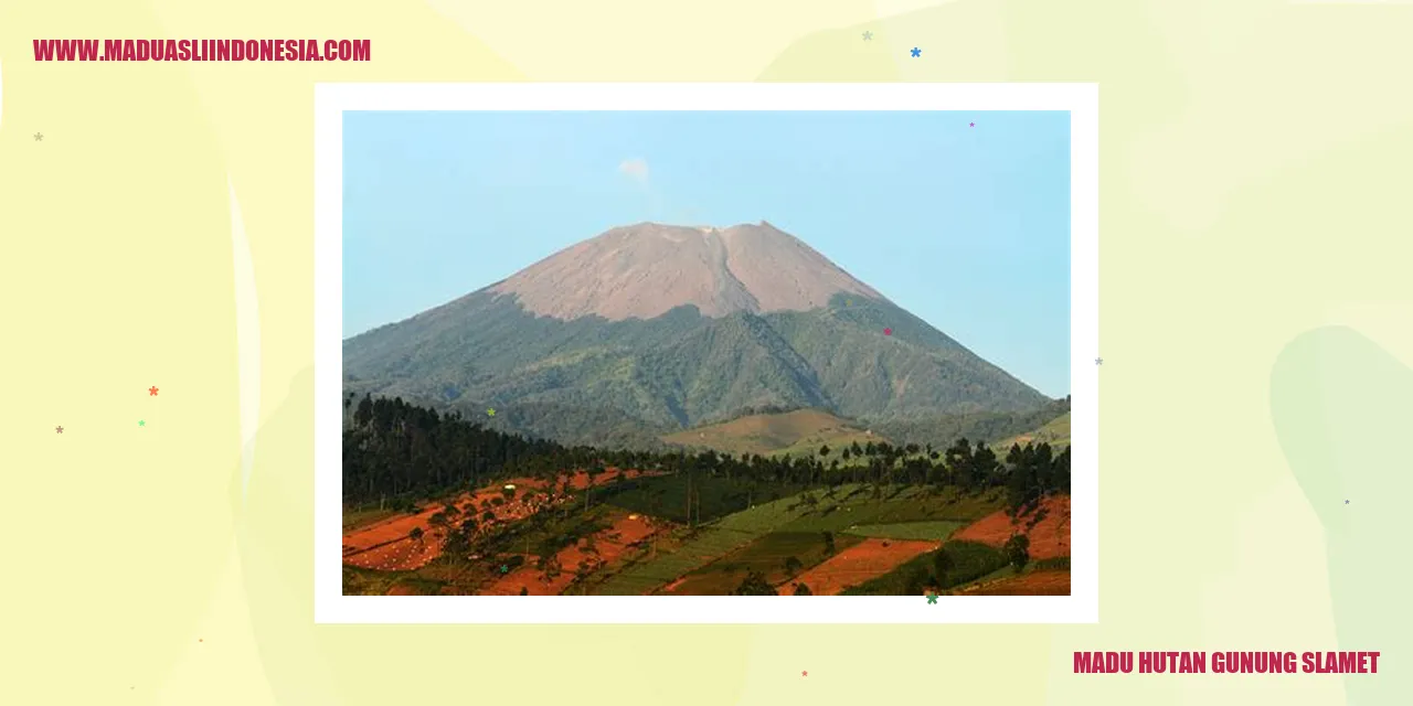 Madu Asli Gunung Slamet