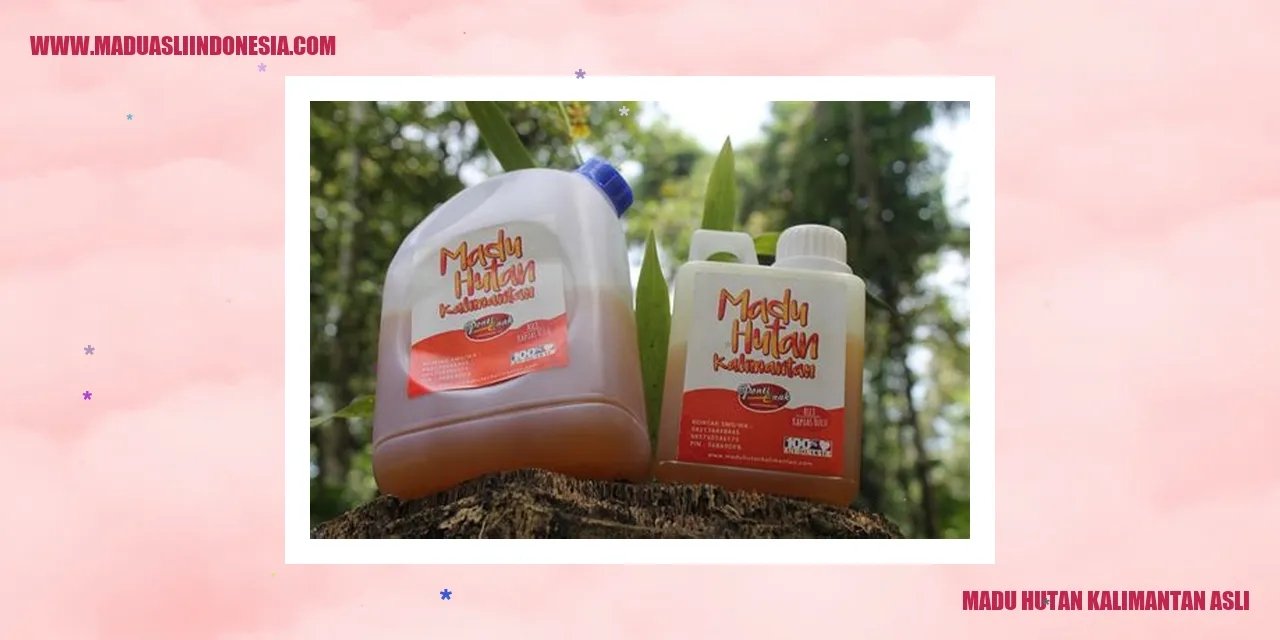madu hutan kalimantan asli