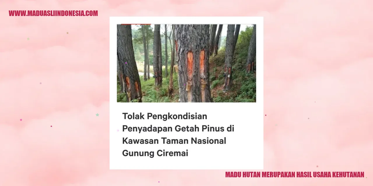 gambar madu hutan merupakan hasil usaha kehutanan